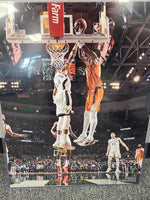 Giannis NBA Finals Officially Licensed 16x20 Photo "The Block"